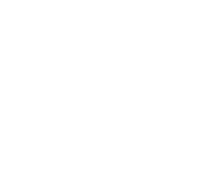 Locks Save Lives Home White Logo